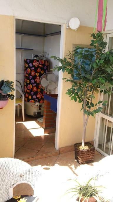 Amazingly Romantic Vacation For Your Honeymoon Tijuana Buitenkant foto